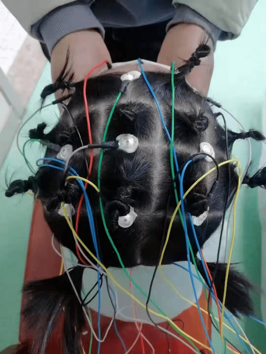 脑电波视频回放这个操作厉害了