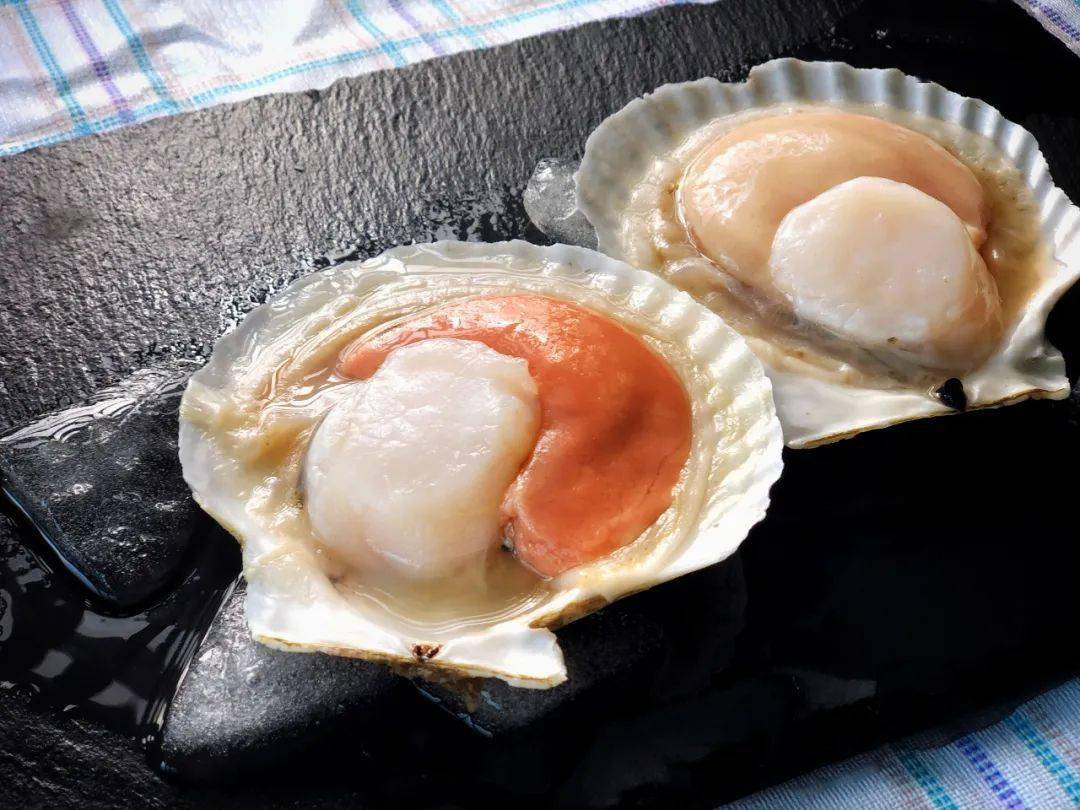 【blt】牛年福利丨会员8折购,积分换50元代金券,还有折上折好物!_扇贝