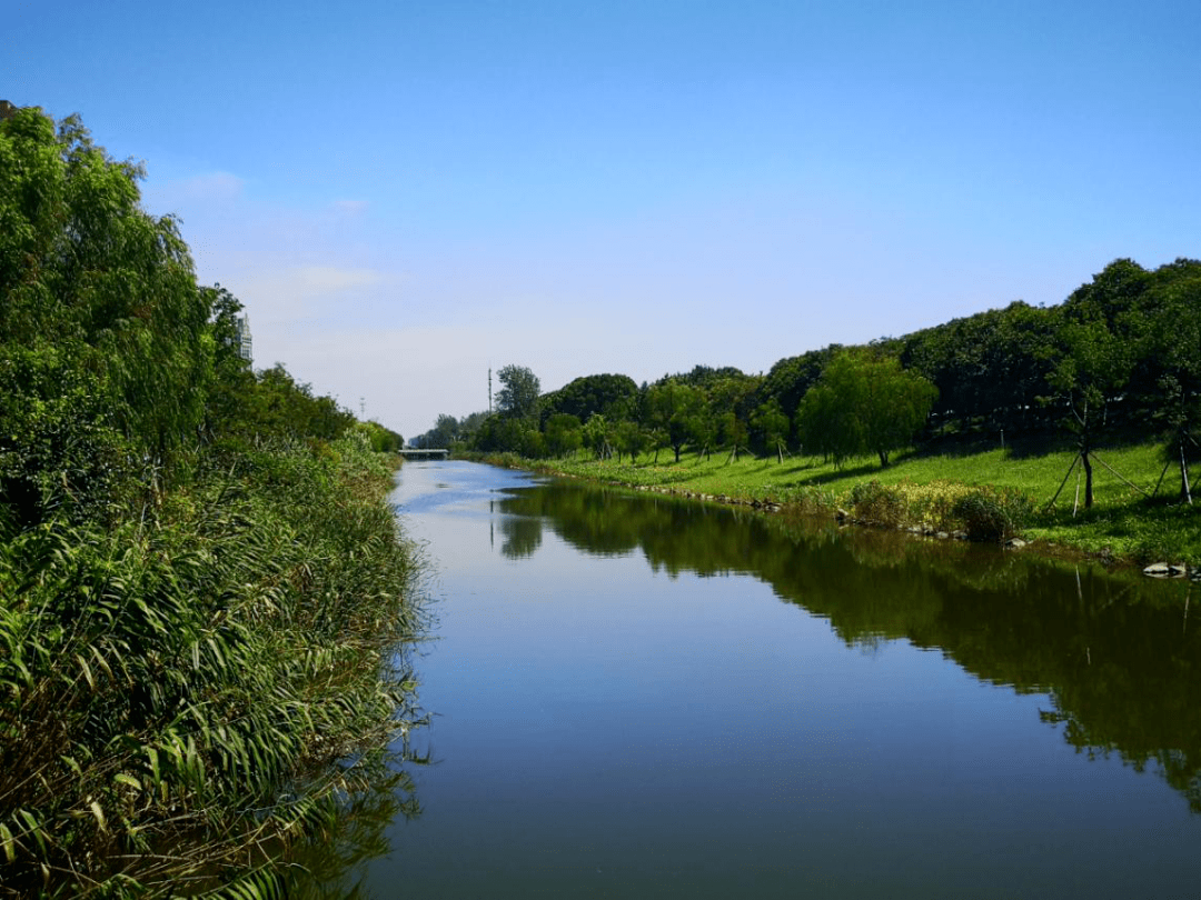 临江护塘河环线全景生态绿廊送你5大惊喜_景观