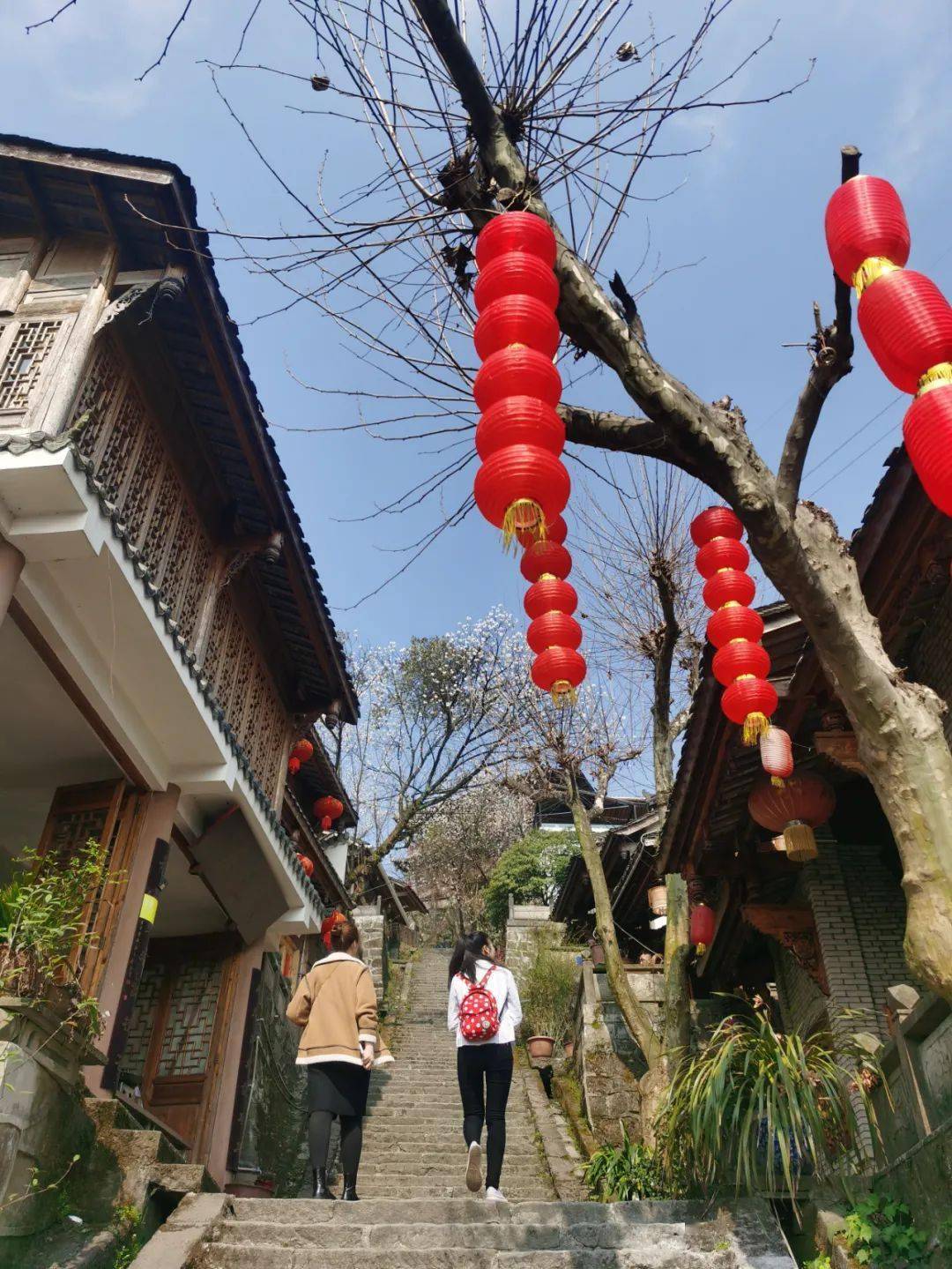 走趁春暖花开去灵岩山踏青赏花