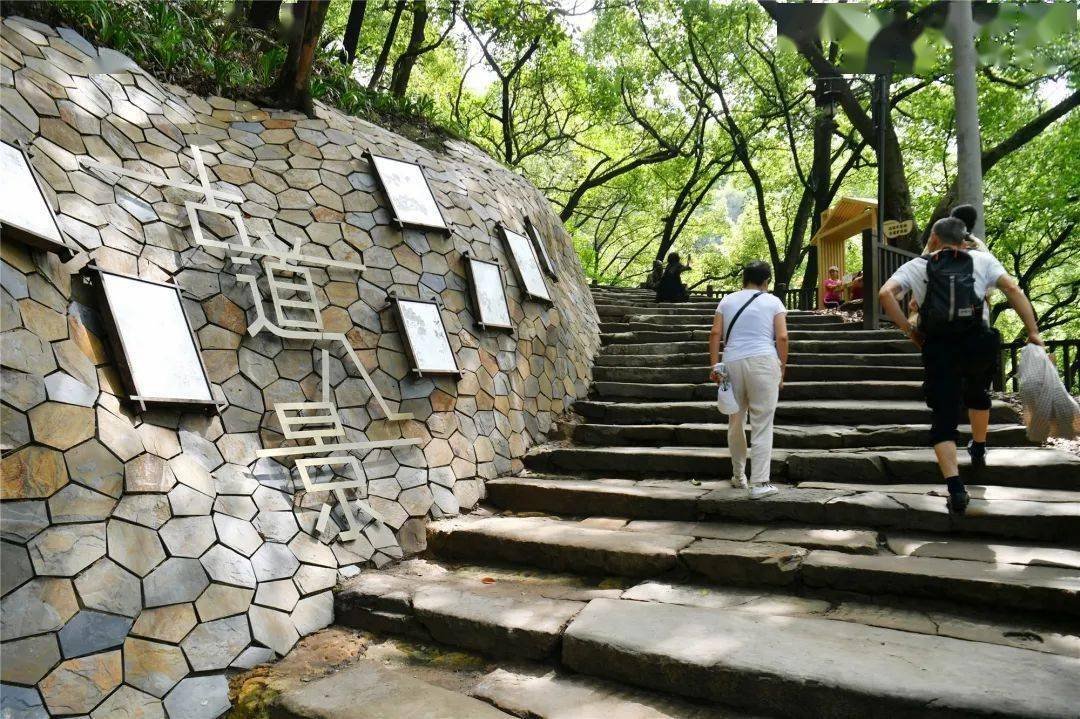 南山一棵树至黄桷垭正街连接道入口栈道工程,龙脊山步道以及涂山步道