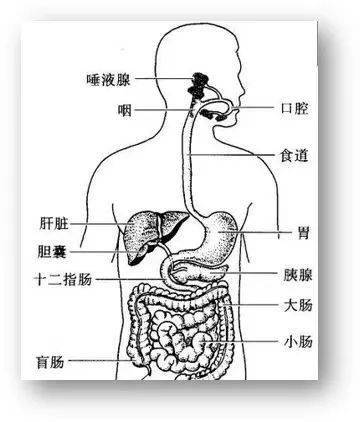 肝GDP指标100高吗(3)