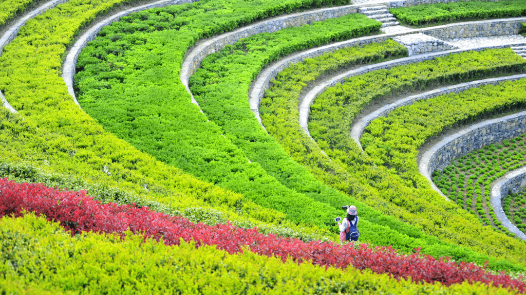 【踏春线路】乌蒙花海  九洞天 奢香古镇2天