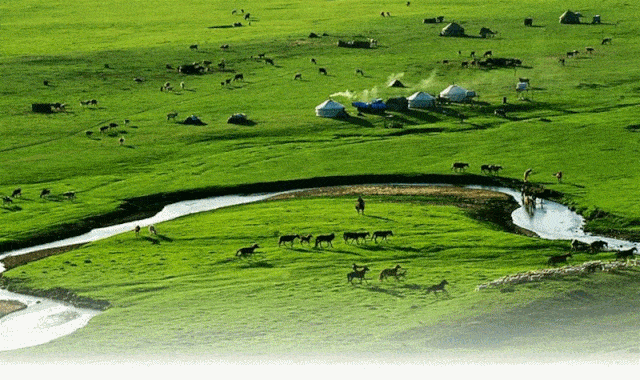 640_380gif 动态图 动图