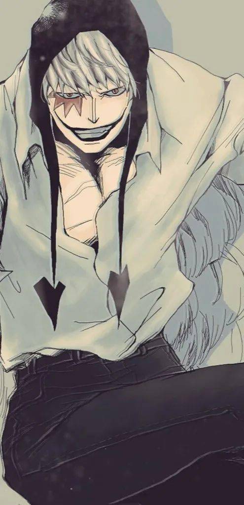 海贼王壁纸柯拉松来了