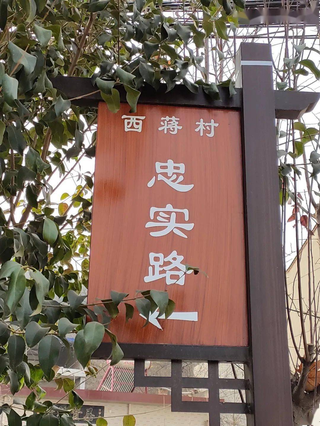 陈忠实故居西蒋村图片