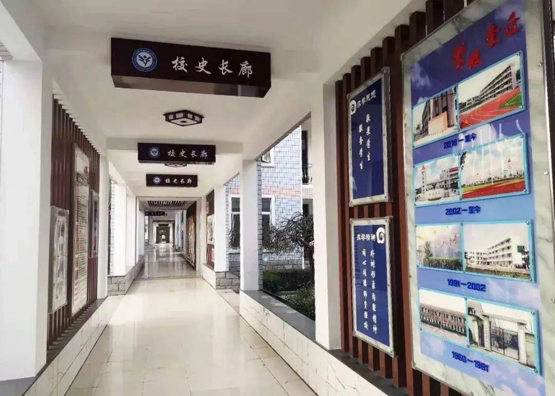 校园风怎样读懂蟠龙千年历史徐泾中学条理清晰