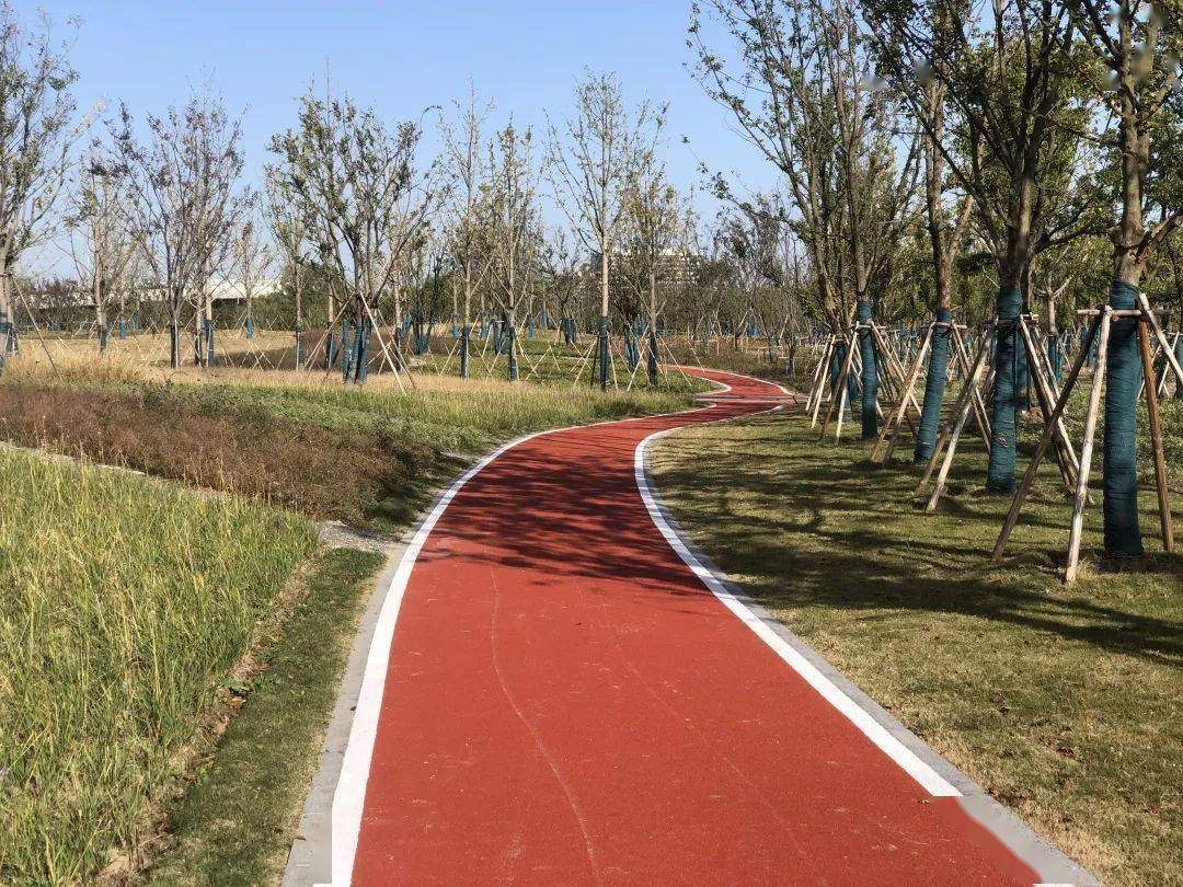 惠民生提升居民林绿认可度"十三五"期间,完成黄浦江东岸22公里漫步道