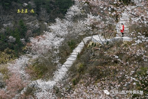 东川区有多少人口_昆明市东川区图片