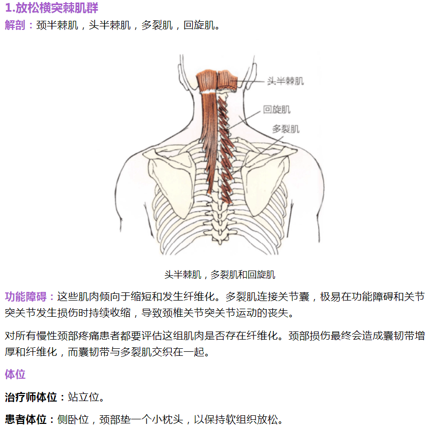 頸椎手法治療_關節