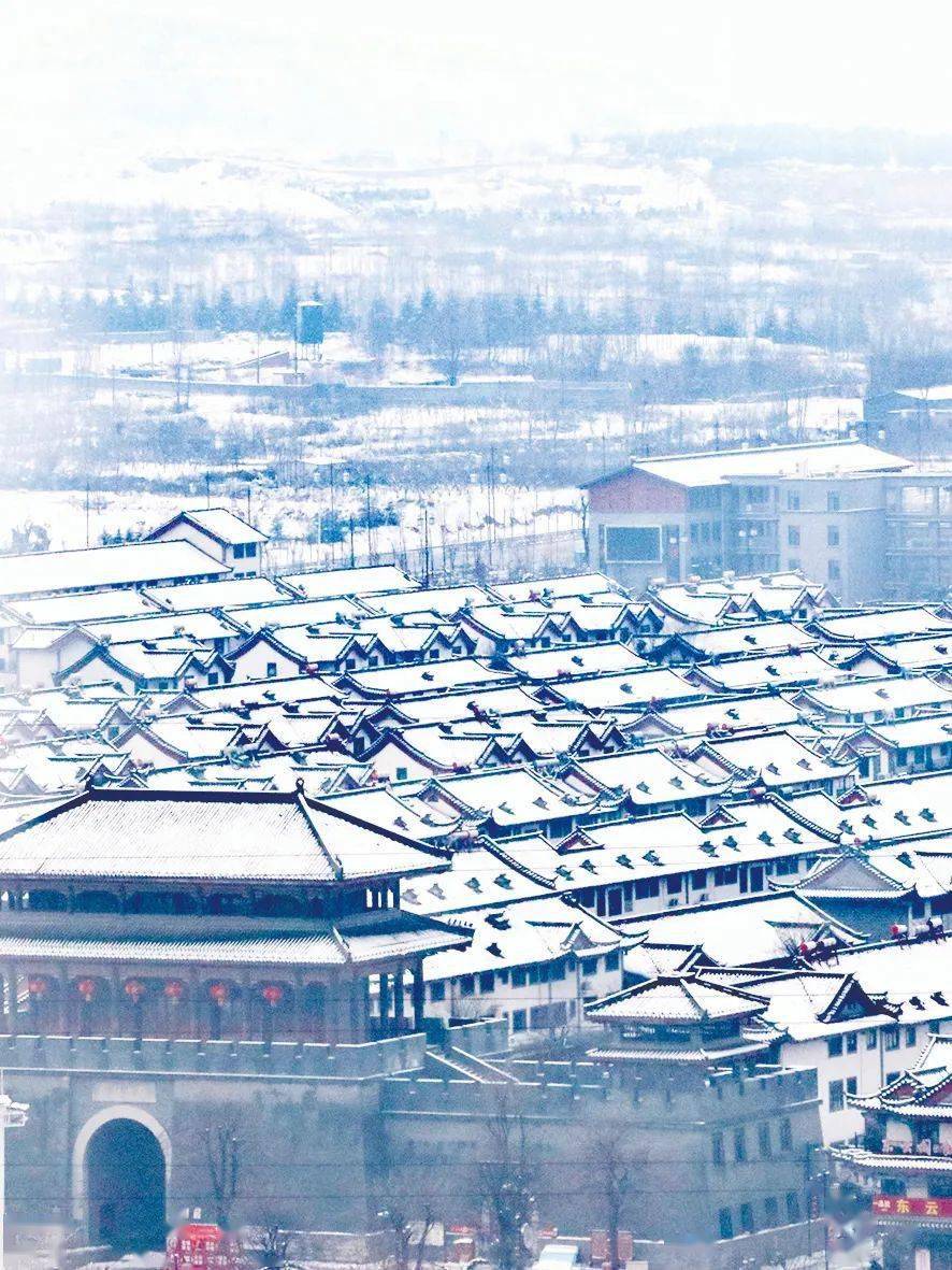 肥城牛年第一场雪美景如画