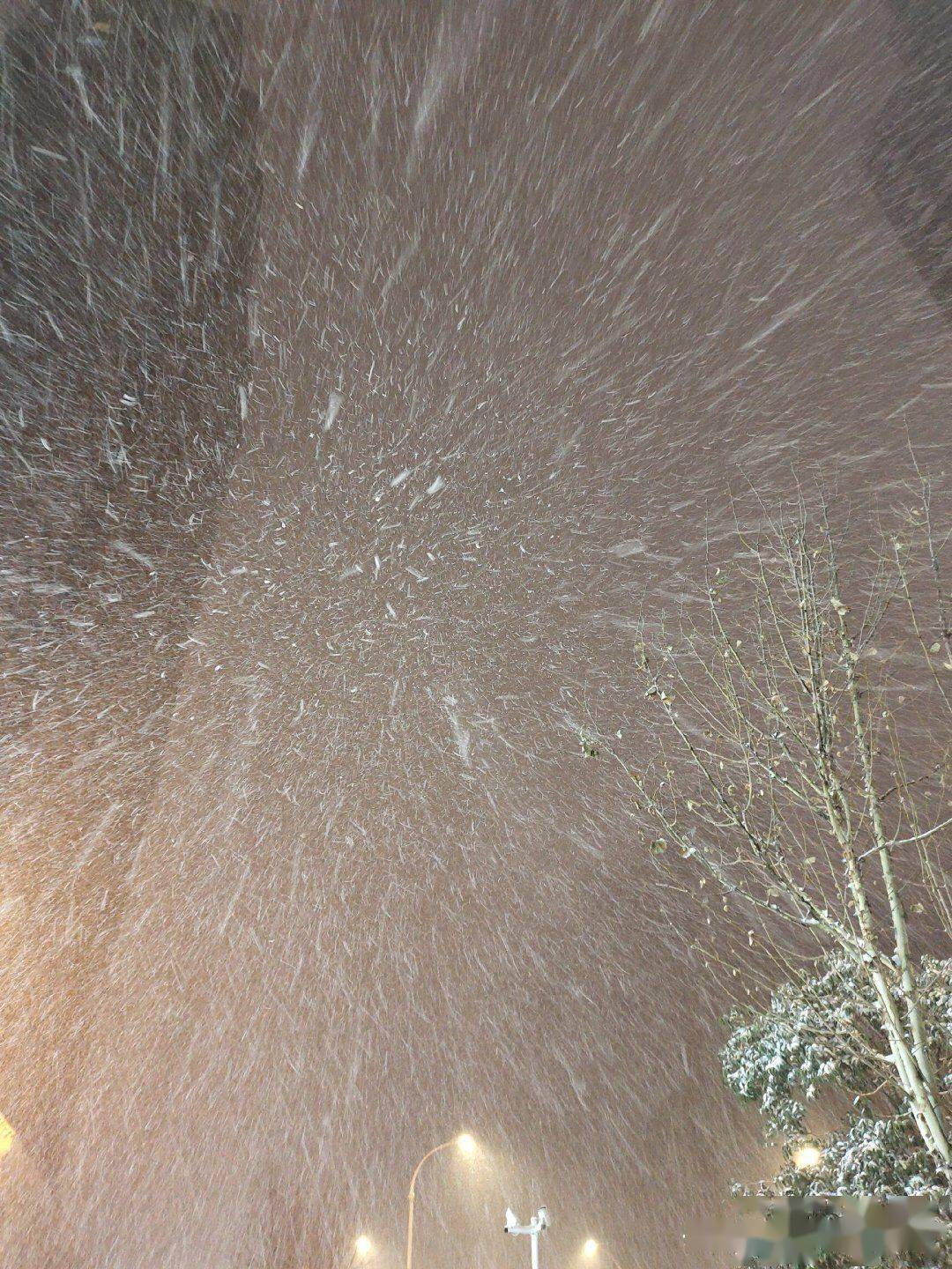 郑州突然雷打暴雪是人工降雪权威辟谣纯天然总体利大于弊