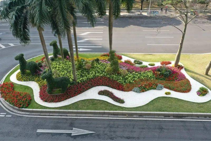 抬头都是满树繁花!天河赏花地图请收好_紫荆