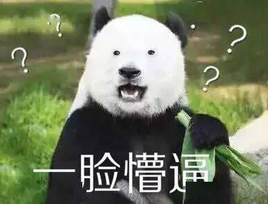 精神紧张,触发语言表达功能障碍,一副不太聪明的亚子