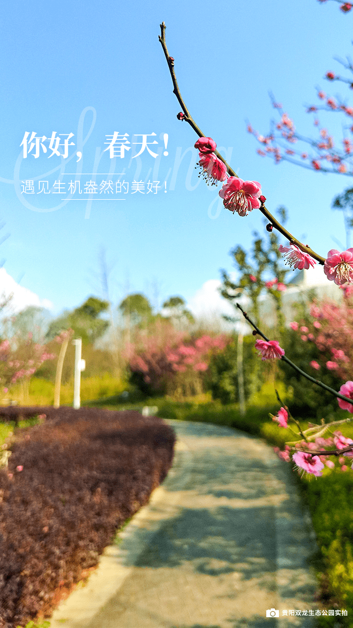 987b64c4214a4725966ad12bcf2c9c14.png