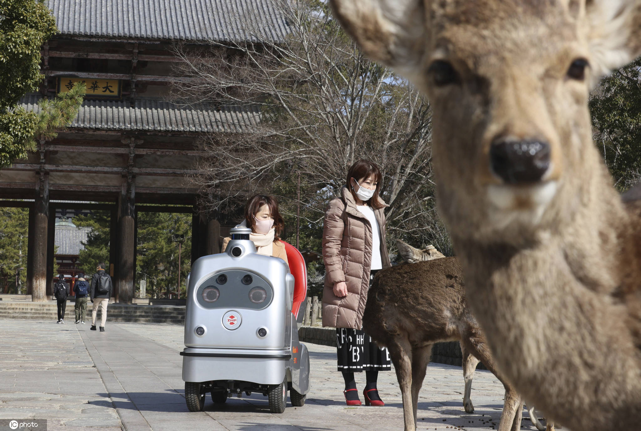 时间|日本自动驾驶机器人RakuRo在奈良公园试运行