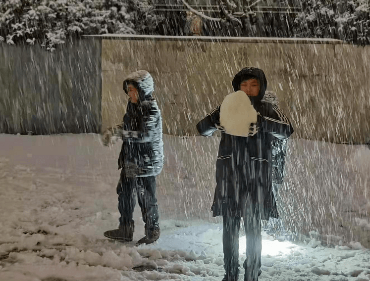 雷打雪多图视频河南多地突降暴雪小编忙到半夜