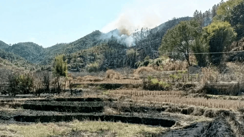 许西坑人口_许西坑南天小学照片(3)