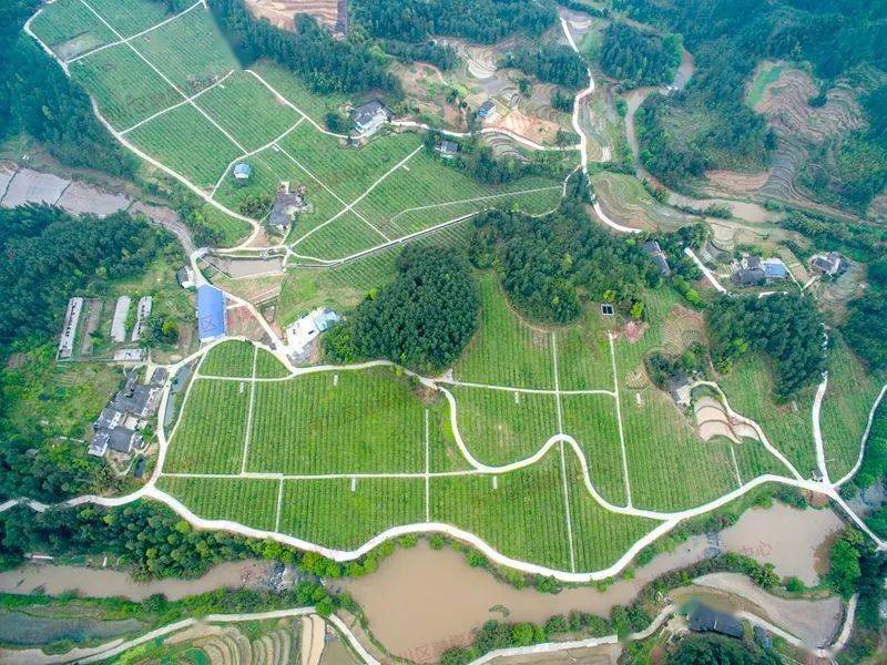 党中央国务院表彰南川长坪村党支部荣获全国脱贫攻坚先进集体表彰