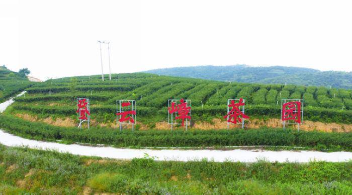 五华各镇gdp2020_五华鱼生图片(3)