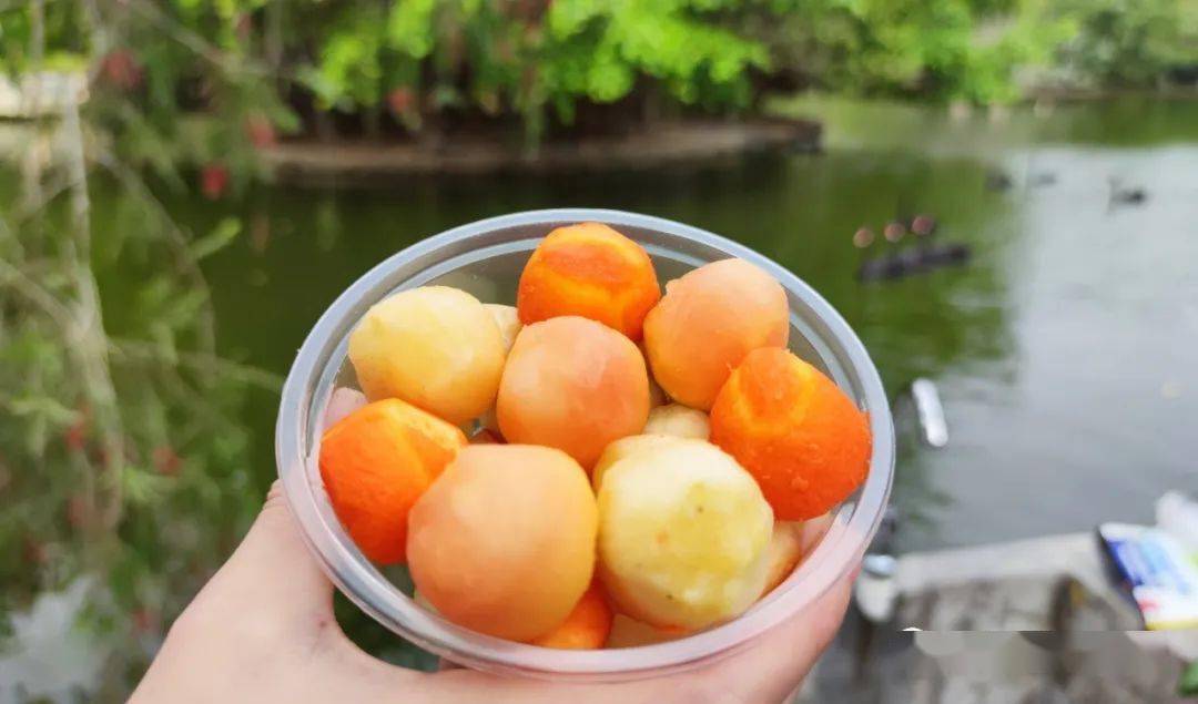 红色的,粉色的,黄色的,橙色的……缤纷多彩的汤圆煞是好看,颜值妥妥的