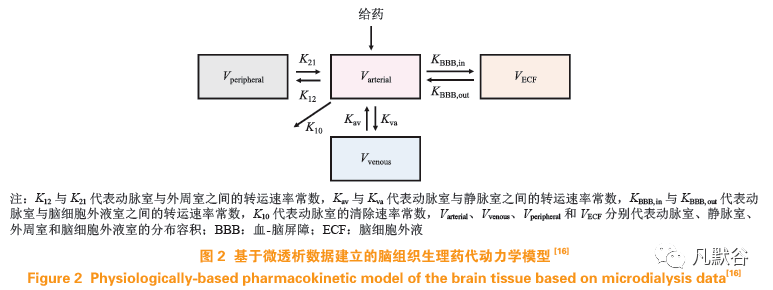 脑组织生理药代动力学模型研究进展_药物