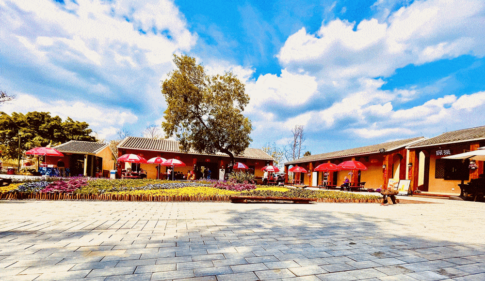 光明人,家门口的精彩活动来了!_田园