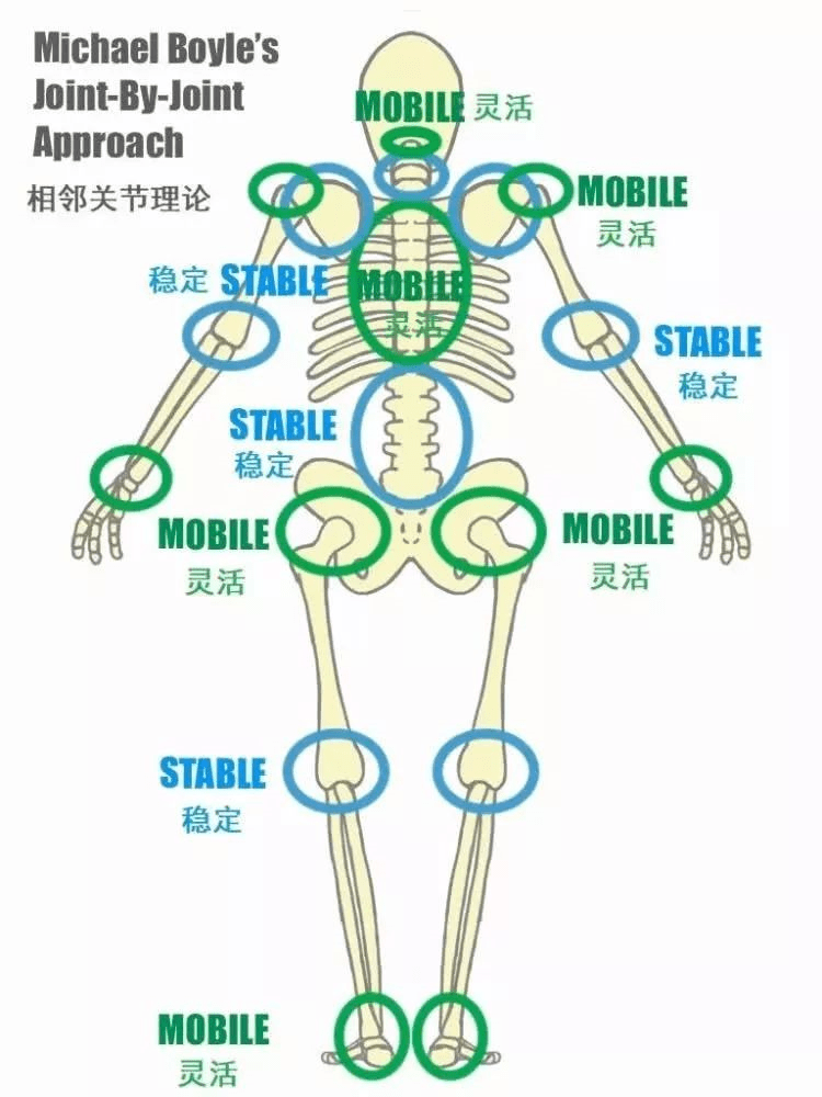 每日一講第375期頸痛與胸椎活動度的關係