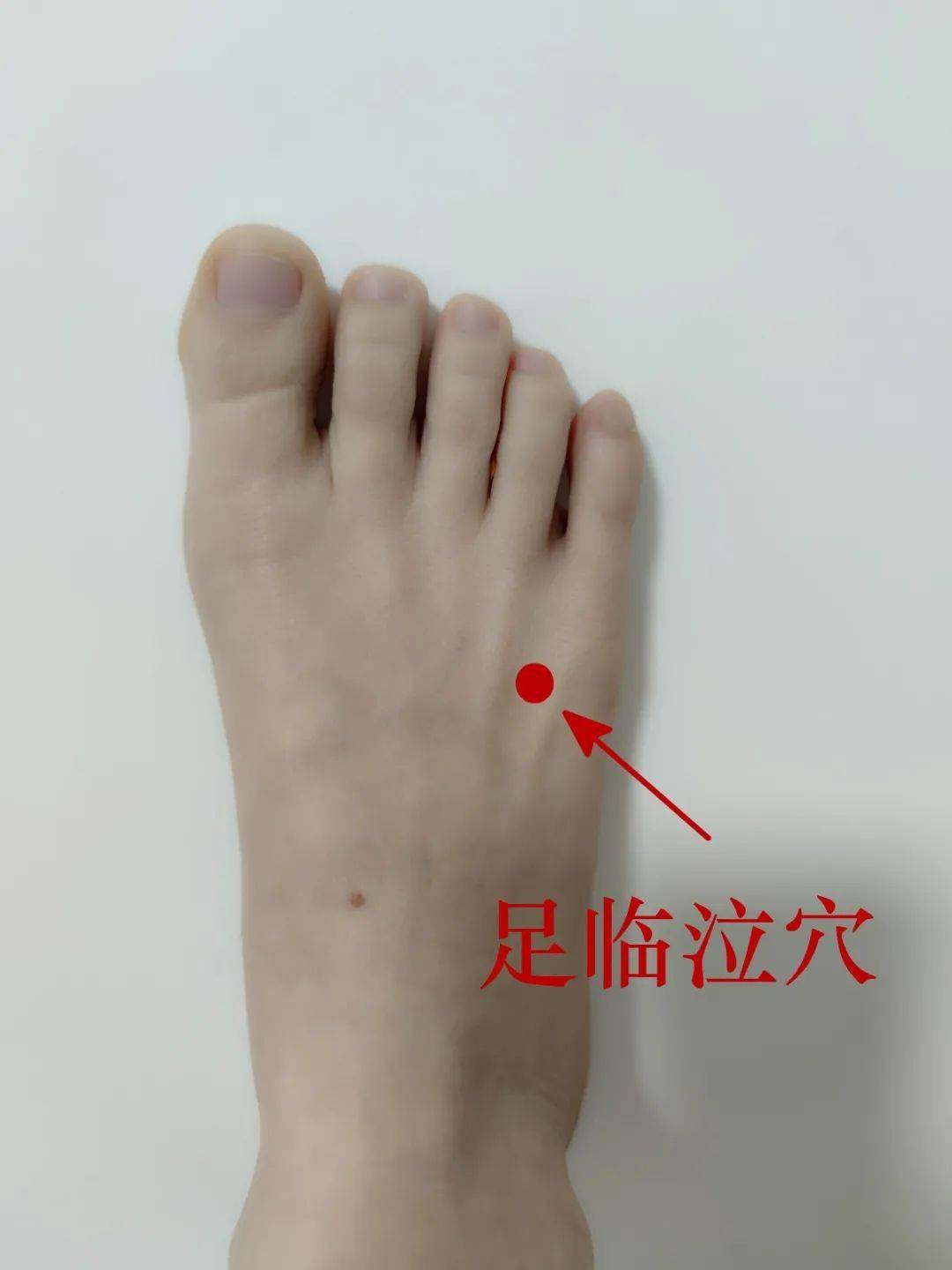 这就提示我们要重点保护好足部和小腿部位了,平日多热敷足临泣穴能