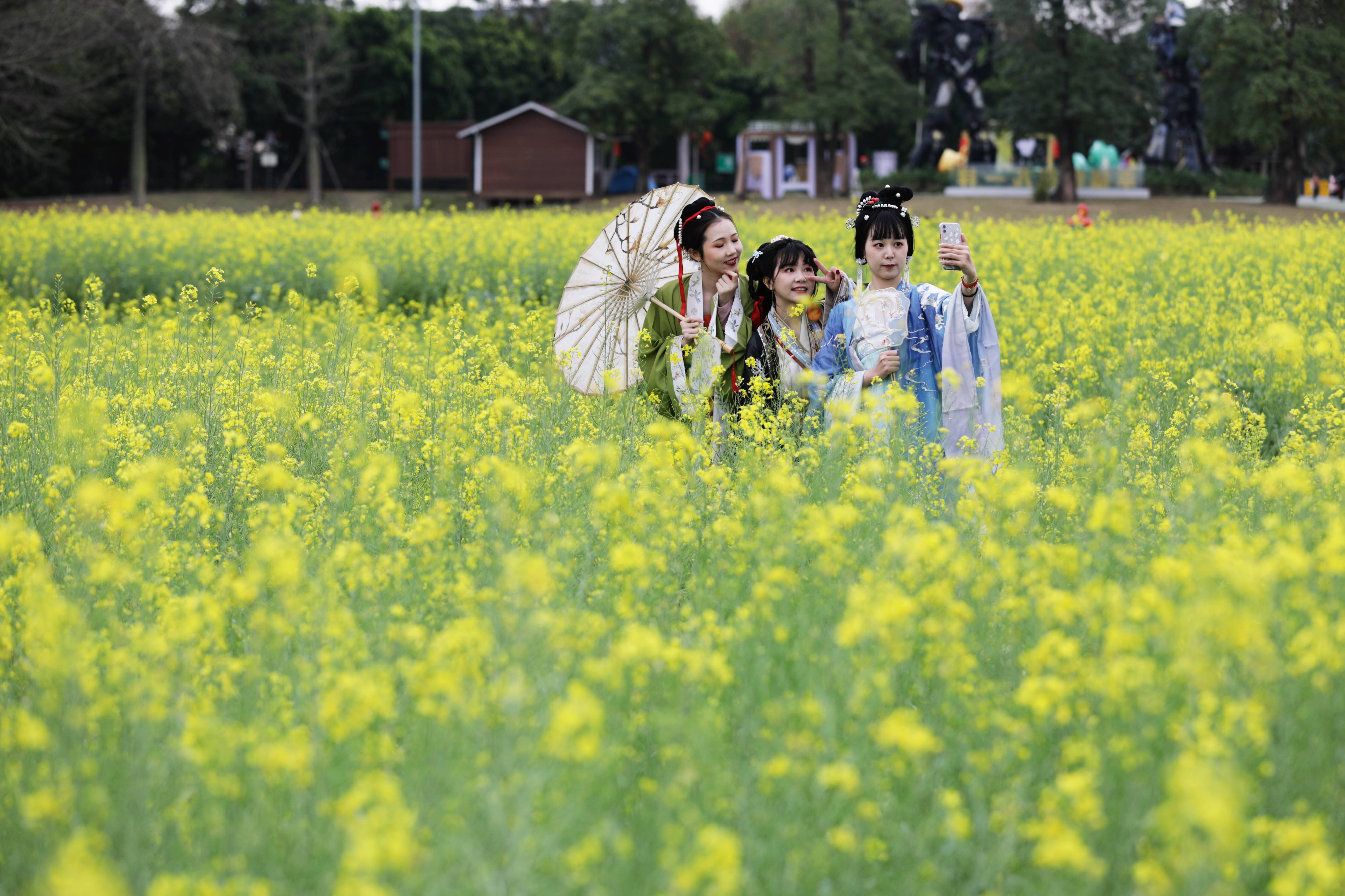 2021广东森林文化周启动，五条赏花线路等你来！