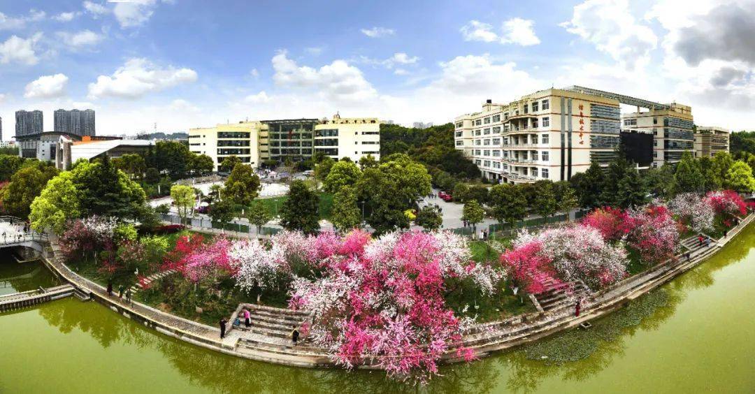 来源丨宜昌发布综合三峡大学编辑丨杨杨 编审丨翟婷婷转