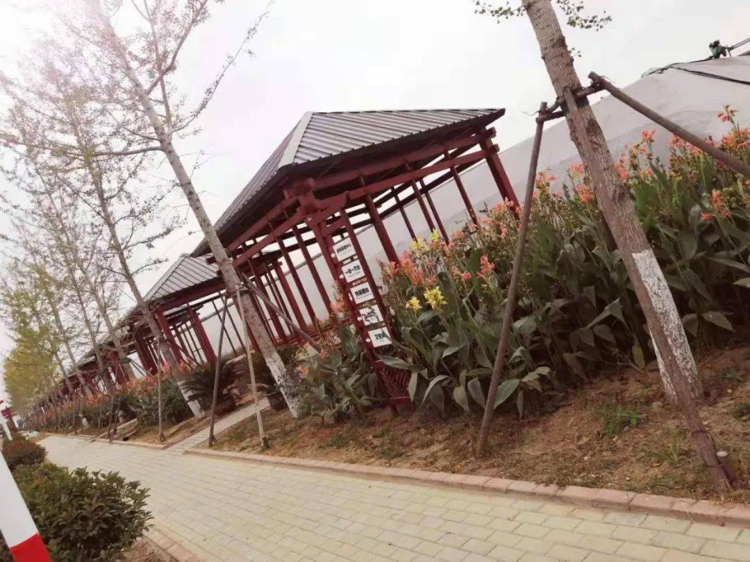 十里桃花开迎风踏春来2021曲阜儒源小镇桃花节项目招商