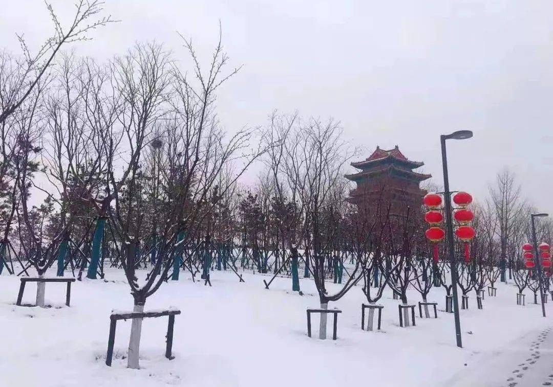 冬季济宁旅游景点大全图片