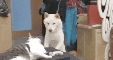 天道好轮回,苍天饶过谁!