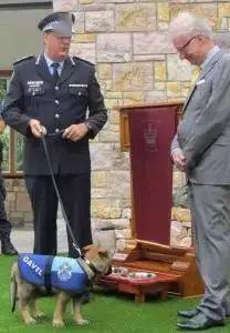 小警犬慘遭開除，竟是因為……好氣哦！！ 萌趣萌寵 第5张