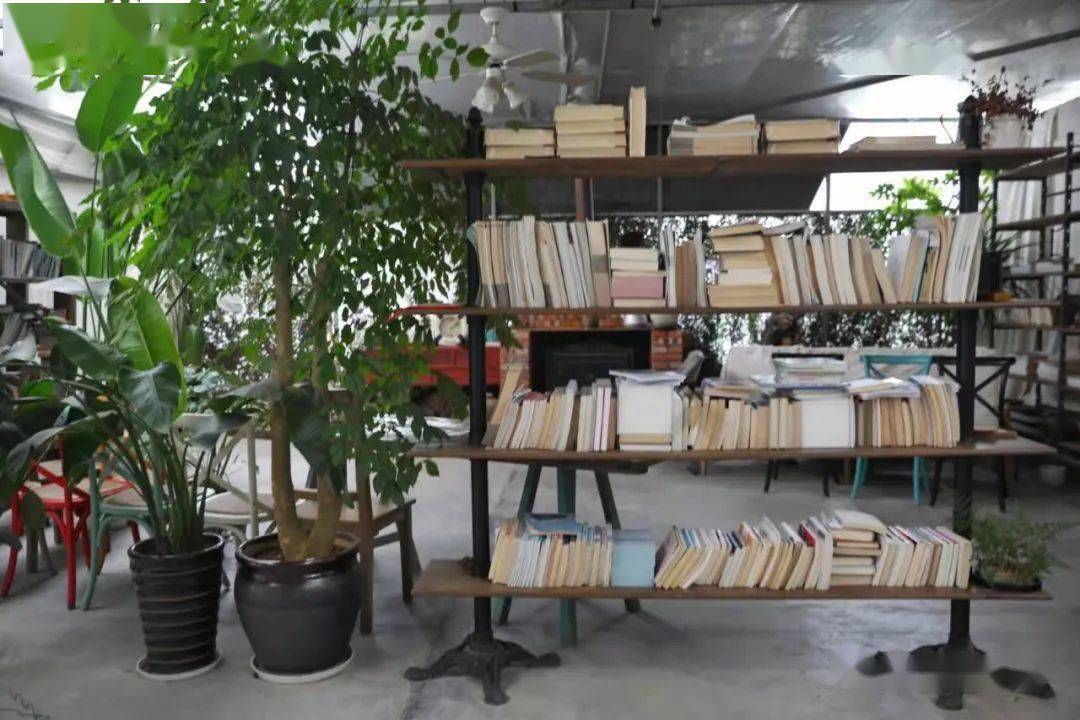 慈溪团建丨坎墩青庭花园烧烤土灶草坪拓展咖啡书吧插花茶会亲子diy