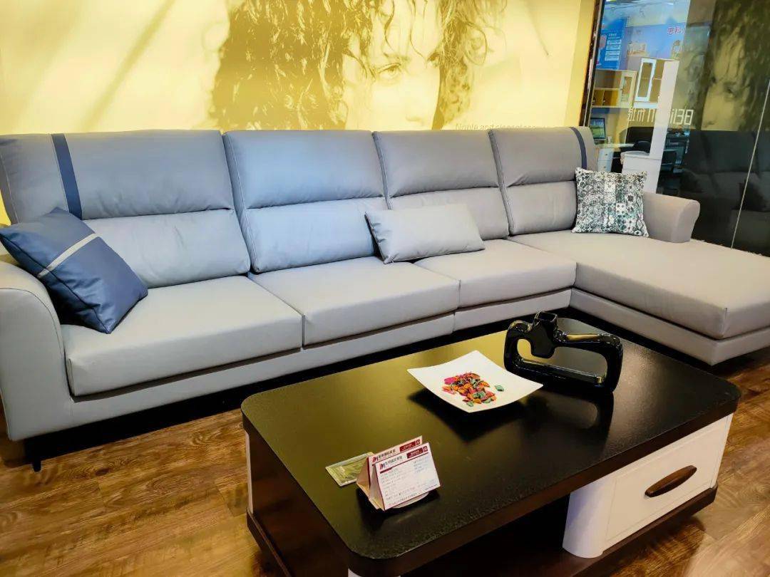 东明家居西二环店布琅沙发