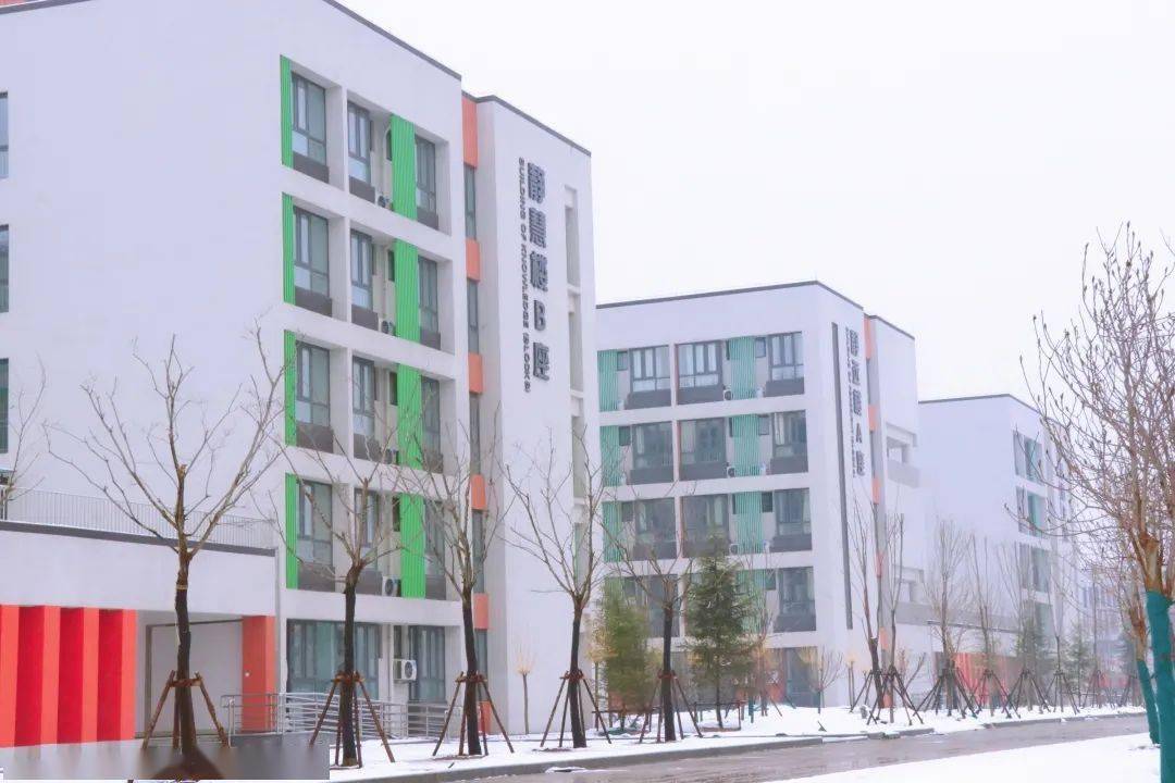 东阿一中春雪兆瑞新校增辉