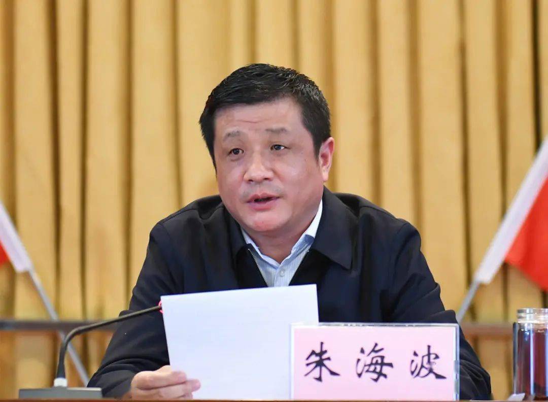 区长赵洪涛主持会议,区领导史卫东,叶蓓,邓萌,朱书文,李洪林,施勇