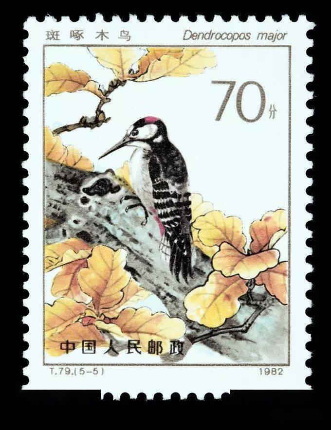 1982年发行的益鸟邮票栩栩如生只因采用了这项技术