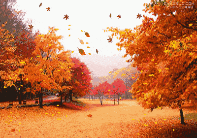 树叶掉落的动态图片图片