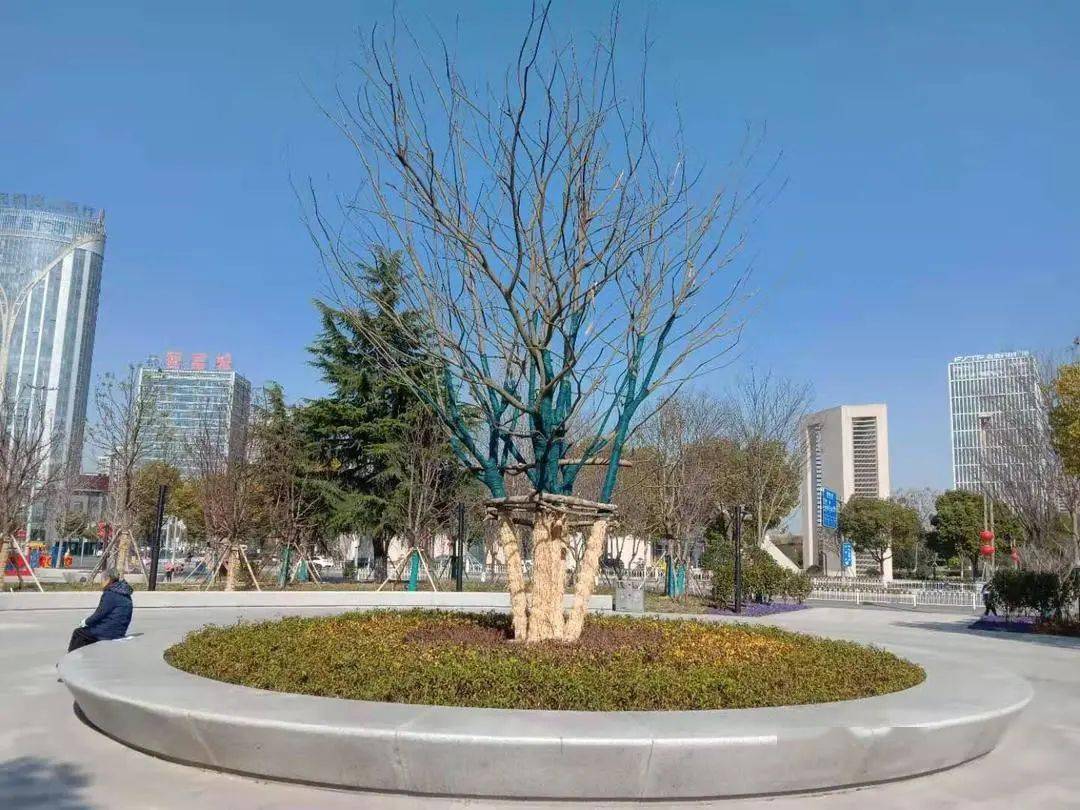 高颜值秀洲这个改造一新的公园等你来打卡