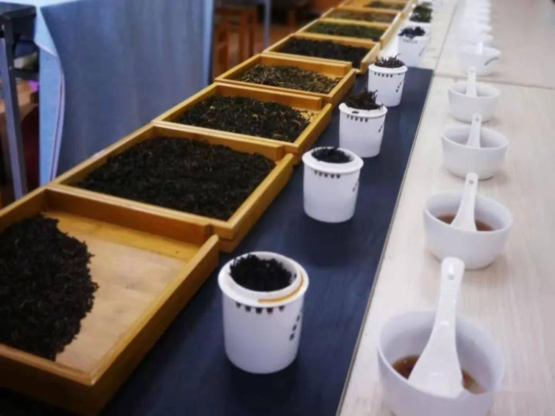 是一门实用技术,是凭借人的感觉器官来评定茶叶品质高低优次的技术和
