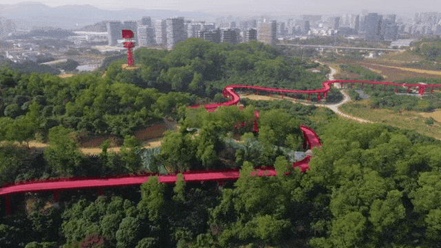 春节涌入30万人的光明虹桥公园，凭什么？真的值得去吗？
