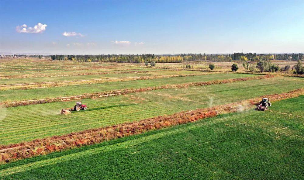 什么是高标准农田建设内容 8fa0f7dfa3be43a594f35badf329f450.jpeg