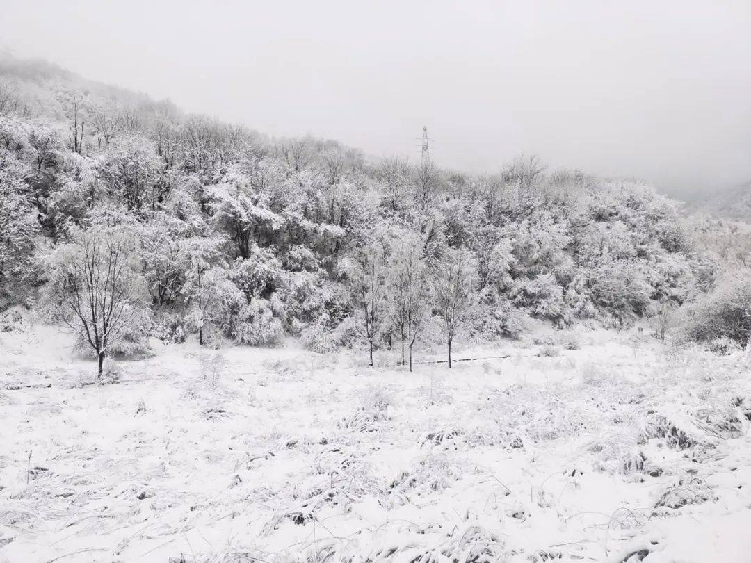 凤县岭南公园看雪图片