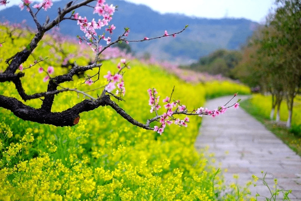 休闲徒步36徒步穿越长兴城山古道慕战争遗迹观城山沟千亩桃花林