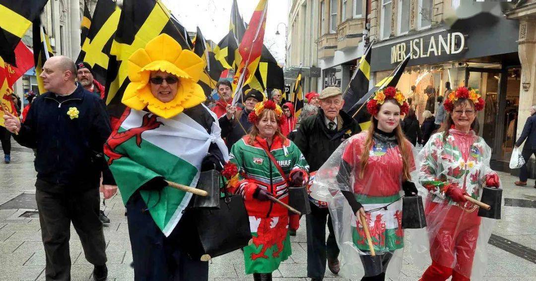 圣大卫日威尔士国庆节勿把水仙当蒜苔