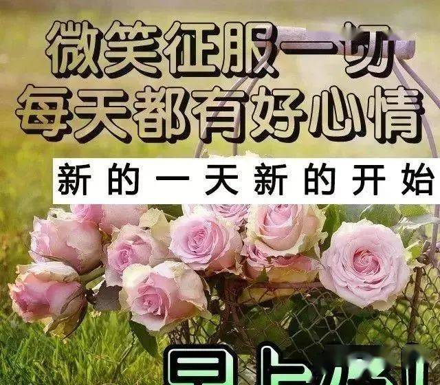 給女朋友發的早安暖心句子2021年星期曰早上好圖片