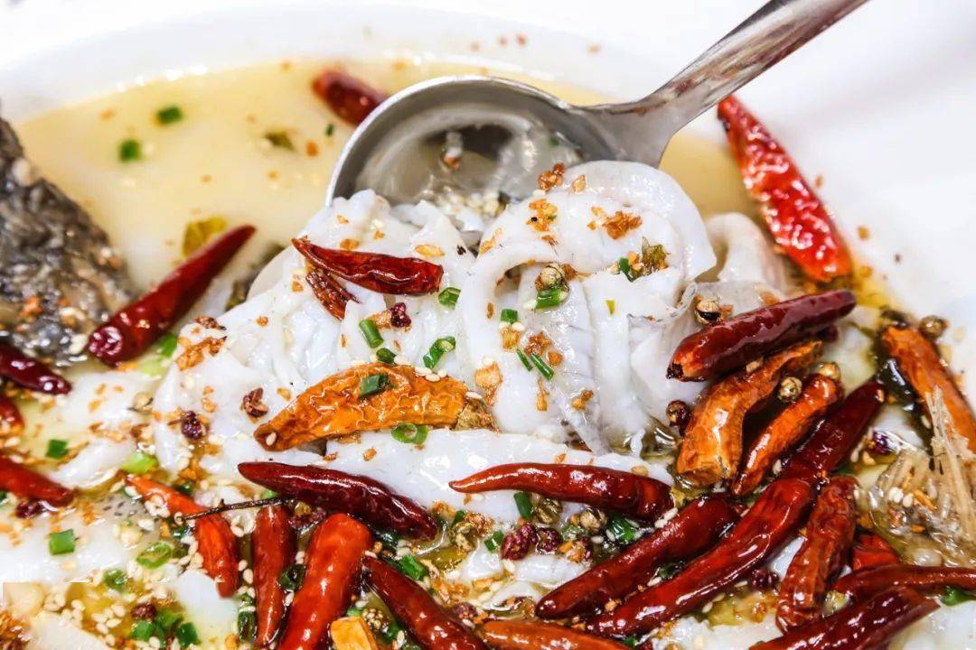 内含新品▎江渔儿老坛酸菜鲈鱼活鱼现制鱼好吃汤更好喝